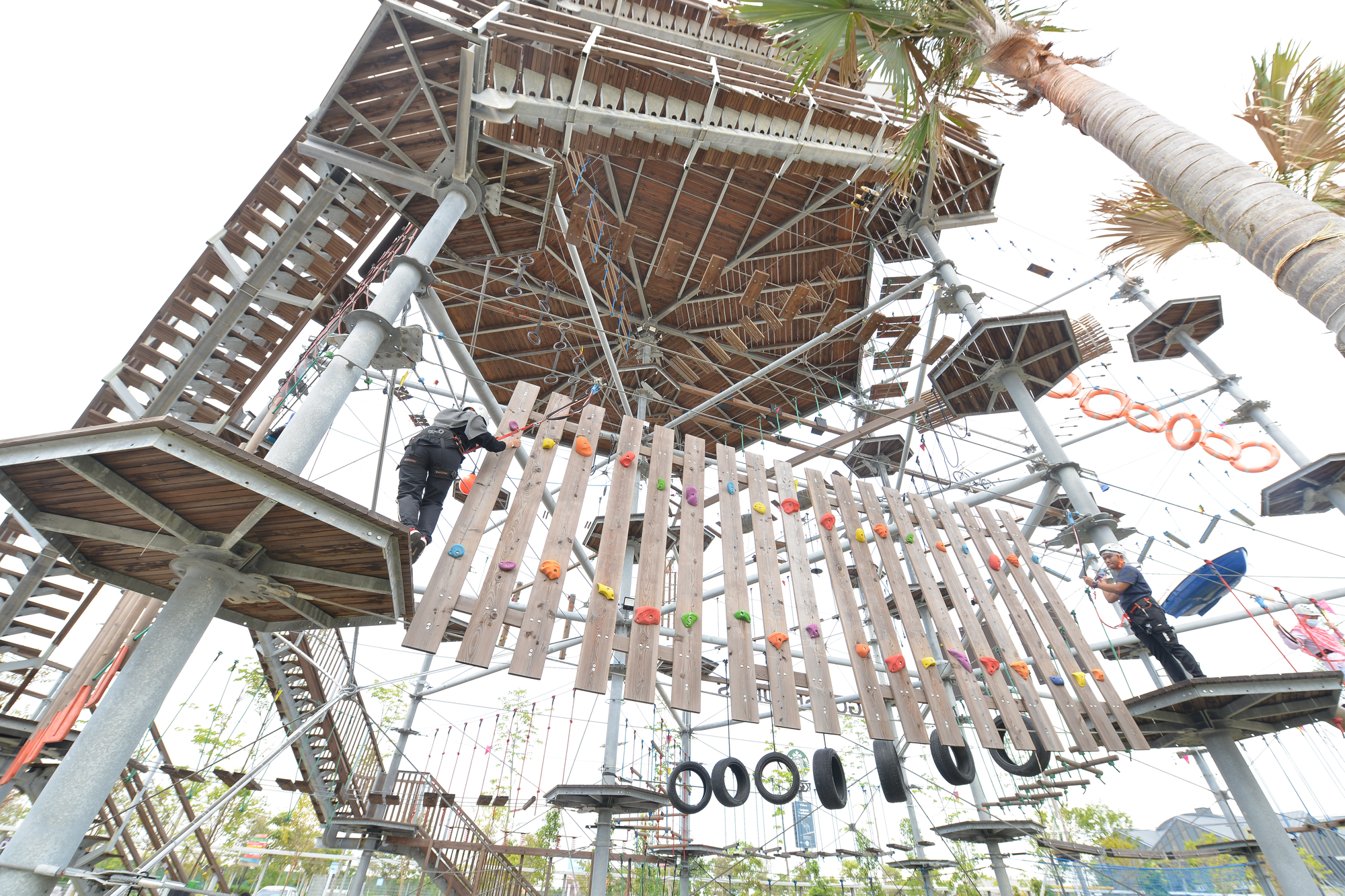Discovery Park - Goosebumps Rope Course - Book tickets online at FunMalaysia